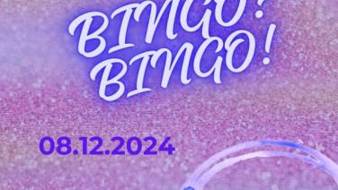 Bingo? Bingo! 8.12.2014 von 15 bis 18 Uhr im Café der Roten Flora 